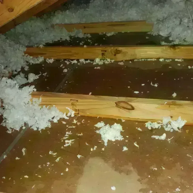 Attic Water Damage in Crestline, OH