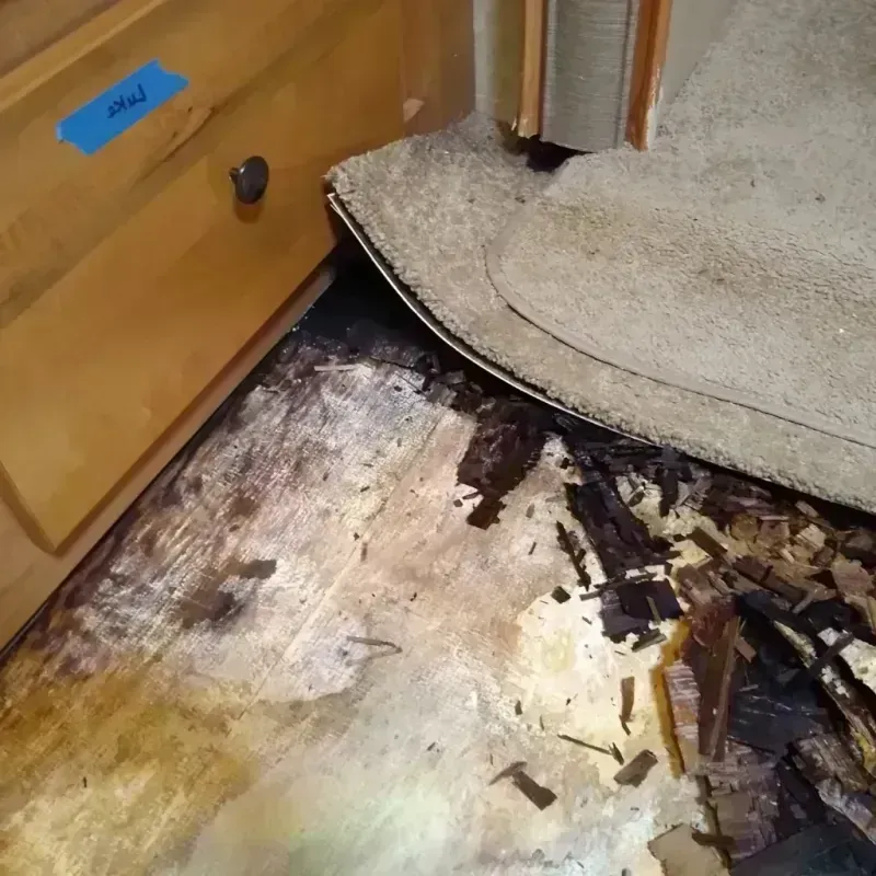 Wood Floor Water Damage in Crestline, OH